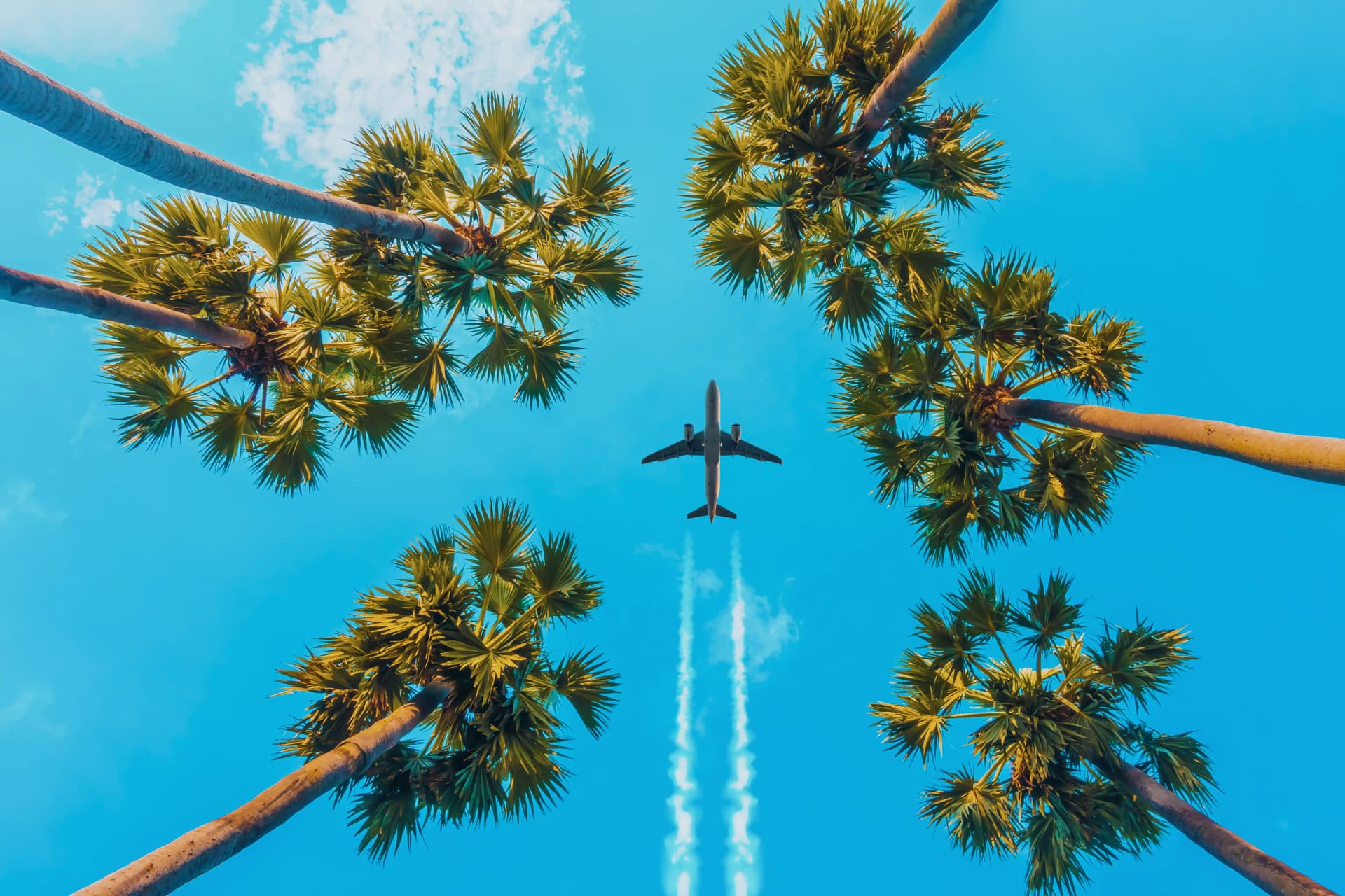 Jet Passports