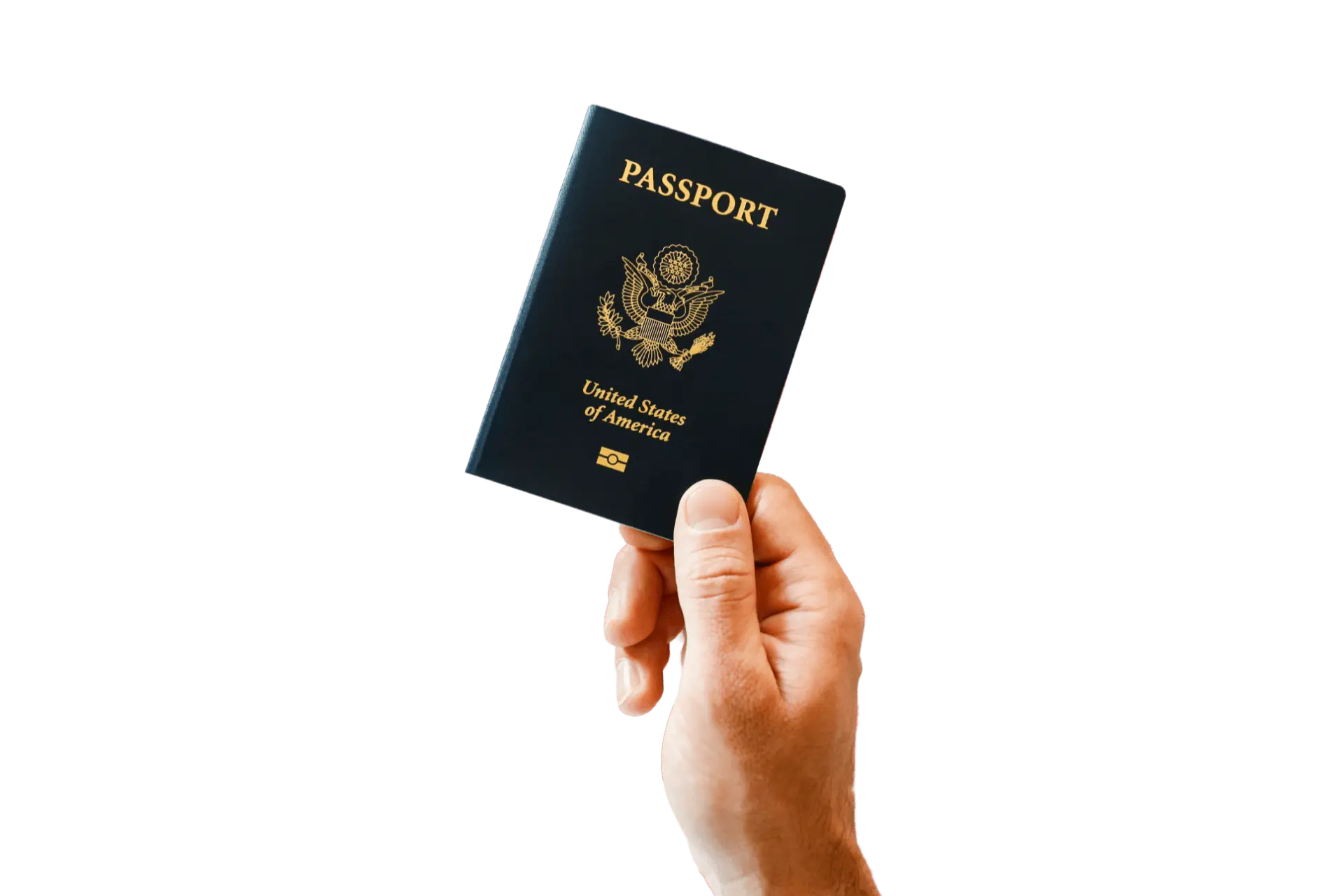 Person Holding New Passport